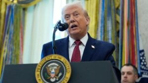 WhatsApp Image 2025-12-17 at 08.39.58