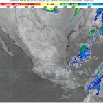 WhatsApp Image 2025-12-18 at 07.41.19