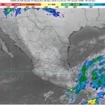 WhatsApp Image 2025-12-19 at 07.47.07