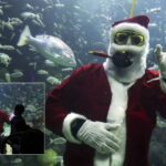 WhatsApp Image 2025-12-19 at 11.55.01