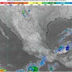 WhatsApp Image 2025-12-20 at 08.41.59