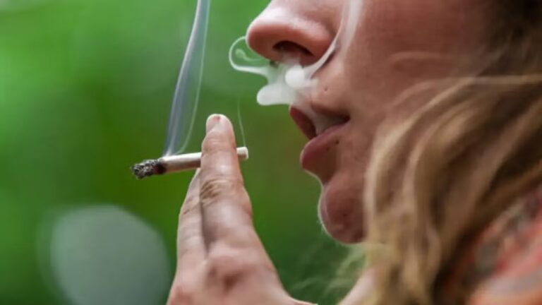 WhatsApp Image 2025-12-25 at 13.20.19