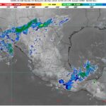 WhatsApp Image 2025-12-26 at 07.51.19