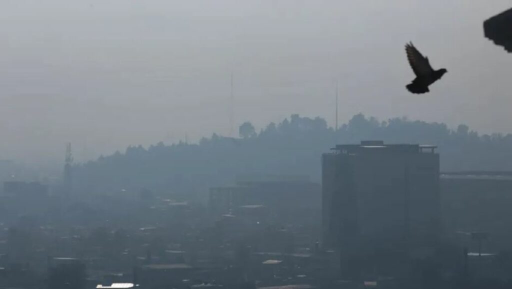 WhatsApp Image 2025-12-26 at 09.07.44