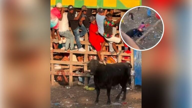 WhatsApp Image 2025-12-26 at 10.04.19