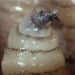 WhatsApp Image 2025-12-26 at 10.48.07