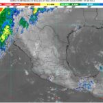 WhatsApp Image 2025-12-27 at 08.43.34