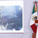 WhatsApp Image 2025-12-29 at 11.58.35