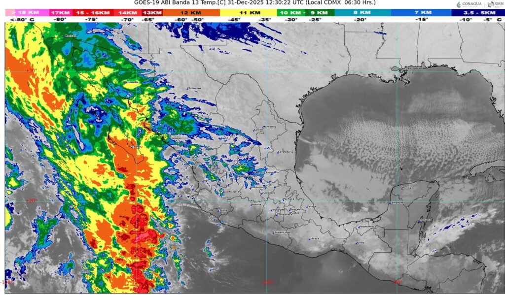 WhatsApp Image 2025-12-31 at 08.26.09