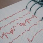 WhatsApp Image 2026-01-02 at 11.55.02