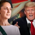 WhatsApp Image 2026-01-03 at 17.50.46