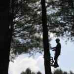 WhatsApp Image 2026-01-04 at 11.06.49