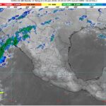 WhatsApp Image 2026-01-05 at 07.24.22