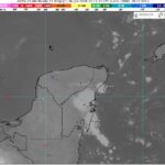 WhatsApp Image 2026-01-06 at 07.29.17