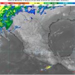 WhatsApp Image 2026-01-07 at 08.01.04