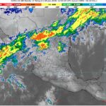 WhatsApp Image 2026-01-08 at 08.17.10