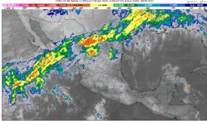 WhatsApp Image 2026-01-08 at 08.17.10