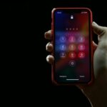 WhatsApp Image 2026-01-08 at 10.57.57