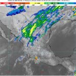 WhatsApp Image 2026-01-09 at 07.33.22