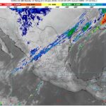 WhatsApp Image 2026-01-10 at 08.36.46