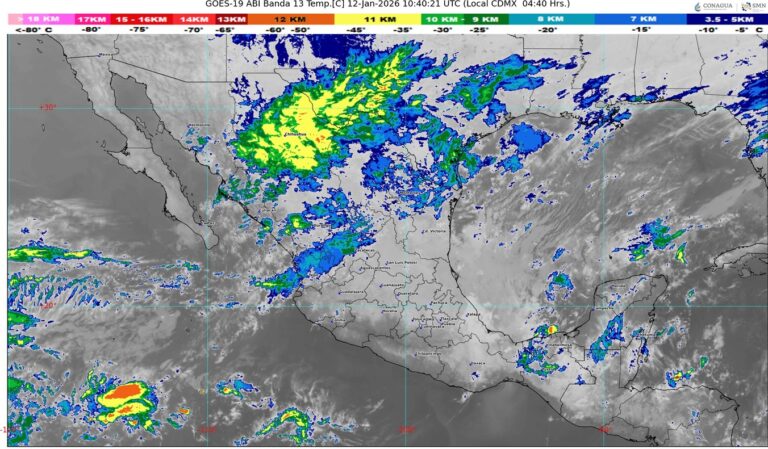 WhatsApp Image 2026-01-12 at 07.40.07