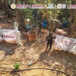 WhatsApp Image 2026-01-12 at 08.53.07