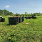 WhatsApp Image 2026-01-12 at 09.04.18