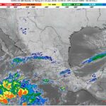 WhatsApp Image 2026-01-15 at 07.31.12