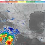 WhatsApp Image 2026-01-16 at 07.57.11