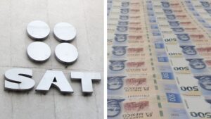 WhatsApp Image 2026-01-16 at 10.02.14