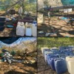 WhatsApp Image 2026-01-16 at 11.17.22