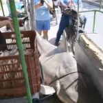 WhatsApp Image 2026-01-17 at 21.39.07