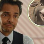 WhatsApp Image 2026-01-17 at 21.39.12