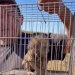 WhatsApp Image 2026-01-17 at 21.39.22