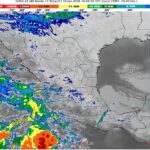 WhatsApp Image 2026-01-19 at 07.51.59