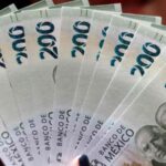 WhatsApp Image 2026-01-19 at 12.59.03