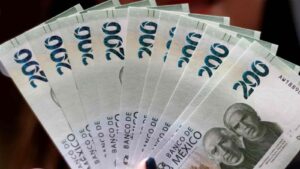 WhatsApp Image 2026-01-19 at 12.59.03