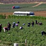 WhatsApp Image 2026-01-19 at 13.08.27