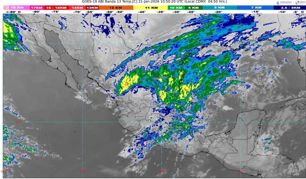 WhatsApp Image 2026-01-21 at 07.51.34