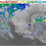 WhatsApp Image 2026-01-22 at 08.12.43