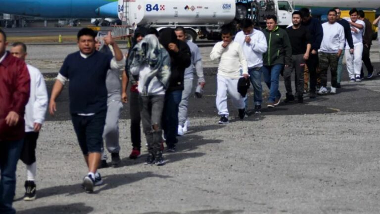 WhatsApp Image 2026-01-22 at 08.12.46