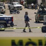 WhatsApp Image 2026-01-22 at 10.17.57