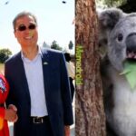 WhatsApp Image 2026-01-23 at 09.02.09