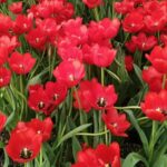 WhatsApp Image 2026-01-24 at 09.24.30