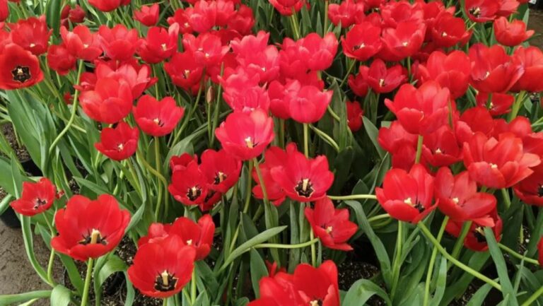 WhatsApp Image 2026-01-24 at 09.24.30