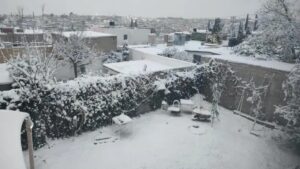 WhatsApp Image 2026-01-24 at 14.35.15