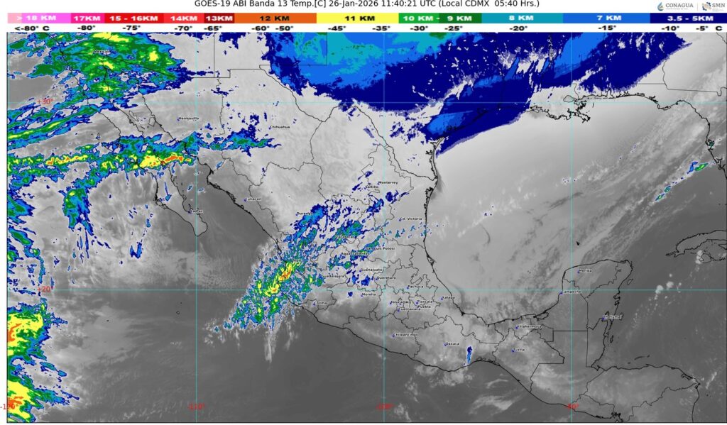 WhatsApp Image 2026-01-26 at 08.22.39