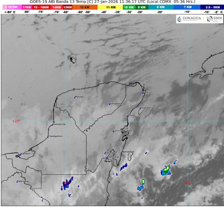 WhatsApp Image 2026-01-27 at 07.58.13