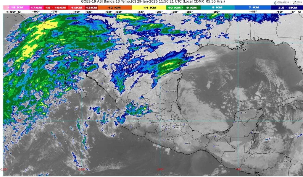 WhatsApp Image 2026-01-29 at 08.25.02