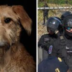 WhatsApp Image 2026-01-29 at 09.51.27